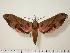  ( - BC-Hax0241)  @15 [ ] Copyright (2010) Unspecified Research Collection of Jean Haxaire