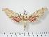  ( - BC-Hax0263)  @14 [ ] Copyright (2010) Unspecified Research Collection of Jean Haxaire
