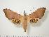  ( - BC-Hax0438)  @14 [ ] Copyright (2010) Unspecified Research Collection of Jean Haxaire