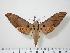  ( - BC-Hax0495)  @15 [ ] Copyright (2010) Unspecified Research Collection of Jean Haxaire