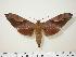  ( - BC-Hax0540)  @13 [ ] Copyright (2010) Unspecified Research Collection of Jean Haxaire