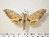  ( - BC-Hax0574)  @14 [ ] Copyright (2010) Unspecified Research Collection of Jean Haxaire