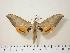  ( - BC-Hax0577)  @14 [ ] Copyright (2010) Unspecified Research Collection of Jean Haxaire