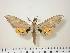  ( - BC-Hax0578)  @14 [ ] Copyright (2010) Unspecified Research Collection of Jean Haxaire