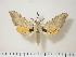  ( - BC-Hax0579)  @14 [ ] Copyright (2010) Unspecified Research Collection of Jean Haxaire