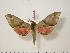  ( - BC-Hax0661)  @13 [ ] Copyright (2010) Unspecified Research Collection of Jean Haxaire