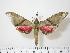  ( - BC-Hax0679)  @14 [ ] Copyright (2010) Unspecified Research Collection of Jean Haxaire
