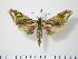  ( - BC-Hax0680)  @13 [ ] Copyright (2010) Unspecified Research Collection of Jean Haxaire