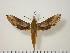  ( - BC-Hax0731)  @14 [ ] Copyright (2010) Unspecified Research Collection of Jean Haxaire