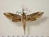  ( - BC-Hax0734)  @14 [ ] Copyright (2010) Unspecified Research Collection of Jean Haxaire