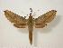  ( - BC-Hax0751)  @14 [ ] Copyright (2010) Unspecified Research Collection of Jean Haxaire
