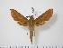  ( - BC-Hax0756)  @14 [ ] Copyright (2010) Unspecified Research Collection of Jean Haxaire