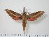  ( - BC-Hax0767)  @14 [ ] Copyright (2010) Unspecified Research Collection of Jean Haxaire