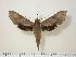  ( - BC-Hax0834)  @14 [ ] Copyright (2010) Unspecified Research Collection of Jean Haxaire