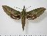  ( - BC-Hax0933)  @14 [ ] Copyright (2010) Unspecified Research Collection of Jean Haxaire
