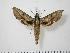  ( - BC-Hax0937)  @14 [ ] Copyright (2010) Unspecified Research Collection of Jean Haxaire