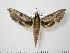  ( - BC-Hax0938)  @14 [ ] Copyright (2010) Unspecified Research Collection of Jean Haxaire
