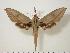  ( - BC-Hax0984)  @14 [ ] Copyright (2010) Unspecified Research Collection of Jean Haxaire