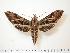  ( - BC-Hax1053)  @14 [ ] Copyright (2010) Unspecified Research Collection of Jean Haxaire