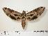  ( - BC-Hax1108)  @12 [ ] Copyright (2010) Unspecified Research Collection of Jean Haxaire