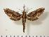  ( - BC-Hax1135)  @14 [ ] Copyright (2010) Unspecified Research Collection of Jean Haxaire