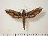  ( - BC-Hax1143)  @12 [ ] Copyright (2010) Unspecified Research Collection of Jean Haxaire