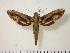  ( - BC-Hax1145)  @13 [ ] Copyright (2010) Unspecified Research Collection of Jean Haxaire