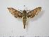  ( - BC-Hax1165)  @13 [ ] Copyright (2010) Unspecified Research Collection of Jean Haxaire