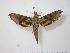  ( - BC-Hax1166)  @13 [ ] Copyright (2010) Unspecified Research Collection of Jean Haxaire