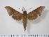  ( - BC-Hax1180)  @14 [ ] Copyright (2010) Unspecified Research Collection of Jean Haxaire
