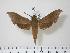  ( - BC-Hax1186)  @13 [ ] Copyright (2010) Unspecified Research Collection of Jean Haxaire
