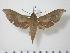  ( - BC-Hax1189)  @13 [ ] Copyright (2010) Unspecified Research Collection of Jean Haxaire