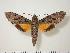  ( - BC-Hax1226)  @14 [ ] Copyright (2010) Unspecified Research Collection of Jean Haxaire