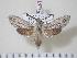  ( - BC-Hax1255)  @14 [ ] Copyright (2010) Unspecified Research Collection of Jean Haxaire