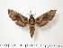  ( - BC-Hax1330)  @14 [ ] Copyright (2010) Unspecified Research Collection of Jean Haxaire