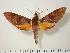  ( - BC-Hax1418)  @13 [ ] Copyright (2010) Unspecified Research Collection of Jean Haxaire