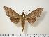  ( - BC-Hax1429)  @14 [ ] Copyright (2010) Unspecified Research Collection of Jean Haxaire