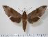  ( - BC-Hax1449)  @14 [ ] Copyright (2010) Unspecified Research Collection of Jean Haxaire