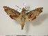  ( - BC-Hax1477)  @14 [ ] Copyright (2010) Unspecified Research Collection of Jean Haxaire
