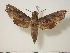  ( - BC-Hax1478)  @14 [ ] Copyright (2010) Unspecified Research Collection of Jean Haxaire