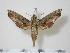  ( - BC-Hax1514)  @14 [ ] Copyright (2010) Unspecified Research Collection of Jean Haxaire