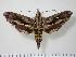 ( - BC-Hax1936)  @14 [ ] Copyright (2010) Unspecified Research Collection of Jean Haxaire