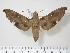  ( - BC-Hax1952)  @14 [ ] Copyright (2010) Unspecified Research Collection of Jean Haxaire