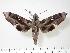  ( - BC-Hax1964)  @14 [ ] Copyright (2010) Unspecified Research Collection of Jean Haxaire