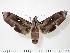  ( - BC-Hax1967)  @14 [ ] Copyright (2010) Unspecified Research Collection of Jean Haxaire