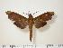  ( - BC-Hax2074)  @14 [ ] Copyright (2010) Unspecified Research Collection of Jean Haxaire