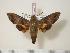  ( - BC-Hax2101)  @14 [ ] Copyright (2010) Unspecified Research Collection of Jean Haxaire