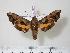  ( - BC-Hax2207)  @14 [ ] Copyright (2010) Unspecified Research Collection of Jean Haxaire