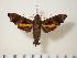  ( - BC-Hax2243)  @14 [ ] Copyright (2010) Unspecified Research Collection of Jean Haxaire