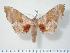  ( - BC-Hax2514)  @14 [ ] Copyright (2010) Unspecified Research Collection of Jean Haxaire